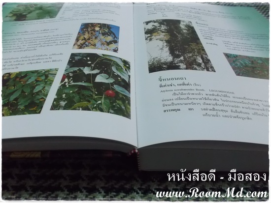 หนังสือ "สารานุกรมสมุนไพร" หนังสือมือสอง หนังสือเก่า หนังสือสภาพดี หนังสือใหม่ หนังสือยอดนิยม หนังสือหายาก หาซื้อได้ที่ไหน ร้านขายหนังสือมือสอง ร้านขายหนังสือเก่า หนังสือเเพทย์ หนังสือนิยาย หนังสือท่องเที่ยว หนังสือการ์ตูน เเหล่งรวมหนังสือมือสอง เเหล่งรวมหนังสือเก่า ราคาถูก ราคาไม่เเพง คลิ๊กทางนี้ได้จร้าาาาาาาาาาาาาาาาาาาาาาาาาาาาาาาาาาาาาาาาาาาาาาาา