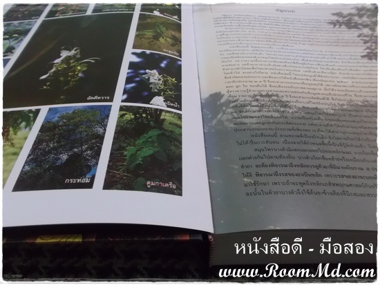 หนังสือ "สารานุกรมสมุนไพร" หนังสือมือสอง หนังสือเก่า หนังสือสภาพดี หนังสือใหม่ หนังสือยอดนิยม หนังสือหายาก หาซื้อได้ที่ไหน ร้านขายหนังสือมือสอง ร้านขายหนังสือเก่า หนังสือเเพทย์ หนังสือนิยาย หนังสือท่องเที่ยว หนังสือการ์ตูน เเหล่งรวมหนังสือมือสอง เเหล่งรวมหนังสือเก่า ราคาถูก ราคาไม่เเพง คลิ๊กทางนี้ได้จร้าาาาาาาาาาาาาาาาาาาาาาาาาาาาาาาาาาาาาาาาาาาาาาาา