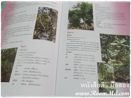 หนังสือ "สารานุกรมสมุนไพร" หนังสือมือสอง หนังสือเก่า หนังสือสภาพดี หนังสือใหม่ หนังสือยอดนิยม หนังสือหายาก หาซื้อได้ที่ไหน ร้านขายหนังสือมือสอง ร้านขายหนังสือเก่า หนังสือเเพทย์ หนังสือนิยาย หนังสือท่องเที่ยว หนังสือการ์ตูน เเหล่งรวมหนังสือมือสอง เเหล่งรวมหนังสือเก่า ราคาถูก ราคาไม่เเพง คลิ๊กทางนี้ได้จร้าาาาาาาาาาาาาาาาาาาาาาาาาาาาาาาาาาาาาาาาาาาาาาาา