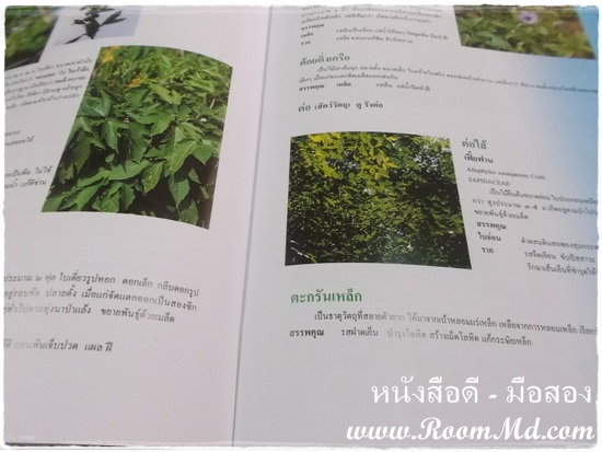 หนังสือ "สารานุกรมสมุนไพร" หนังสือมือสอง หนังสือเก่า หนังสือสภาพดี หนังสือใหม่ หนังสือยอดนิยม หนังสือหายาก หาซื้อได้ที่ไหน ร้านขายหนังสือมือสอง ร้านขายหนังสือเก่า หนังสือเเพทย์ หนังสือนิยาย หนังสือท่องเที่ยว หนังสือการ์ตูน เเหล่งรวมหนังสือมือสอง เเหล่งรวมหนังสือเก่า ราคาถูก ราคาไม่เเพง คลิ๊กทางนี้ได้จร้าาาาาาาาาาาาาาาาาาาาาาาาาาาาาาาาาาาาาาาาาาาาาาาา