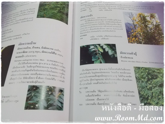 หนังสือ "สารานุกรมสมุนไพร" หนังสือมือสอง หนังสือเก่า หนังสือสภาพดี หนังสือใหม่ หนังสือยอดนิยม หนังสือหายาก หาซื้อได้ที่ไหน ร้านขายหนังสือมือสอง ร้านขายหนังสือเก่า หนังสือเเพทย์ หนังสือนิยาย หนังสือท่องเที่ยว หนังสือการ์ตูน เเหล่งรวมหนังสือมือสอง เเหล่งรวมหนังสือเก่า ราคาถูก ราคาไม่เเพง คลิ๊กทางนี้ได้จร้าาาาาาาาาาาาาาาาาาาาาาาาาาาาาาาาาาาาาาาาาาาาาาาา